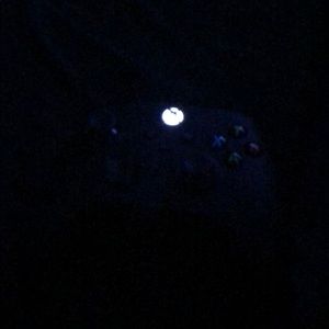 Meet your Posher, Antonio